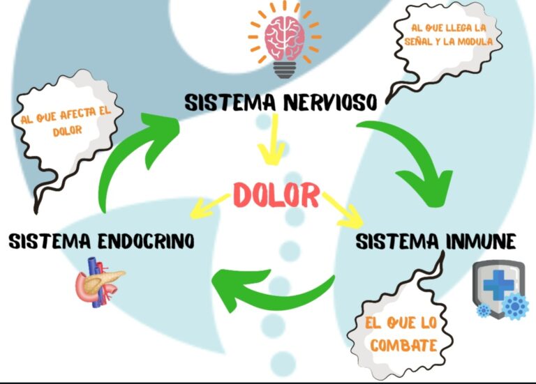 Dolor Crónico y Cómo combatirlo CENTRO DE FISIOTERAPIA PABLO CALLEJA